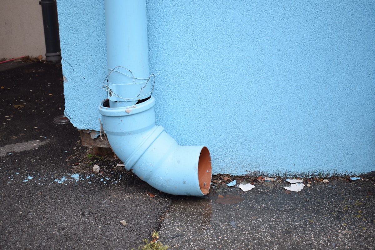 Water Extraction service in Collierville, TN
