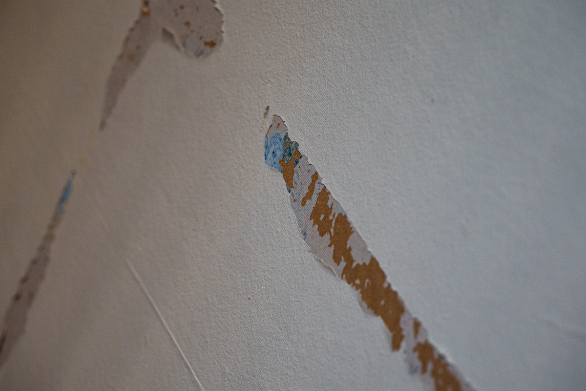 Mold Remediation service in Collierville, TN